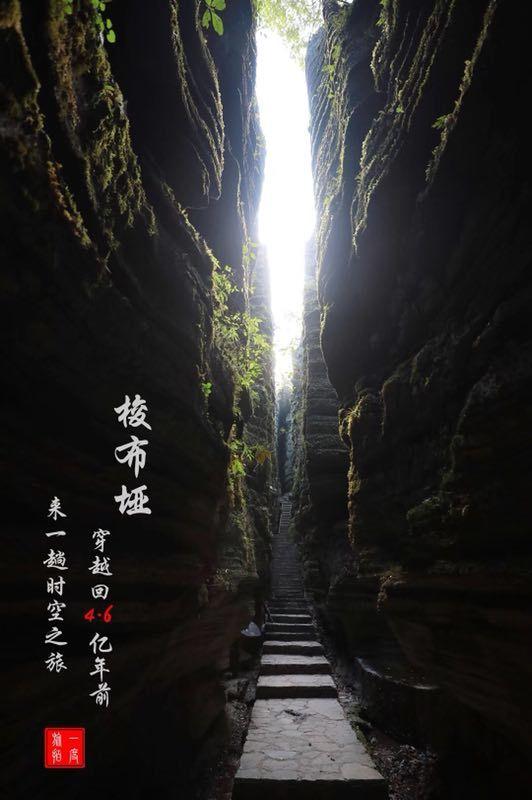网游之大神莫挡路